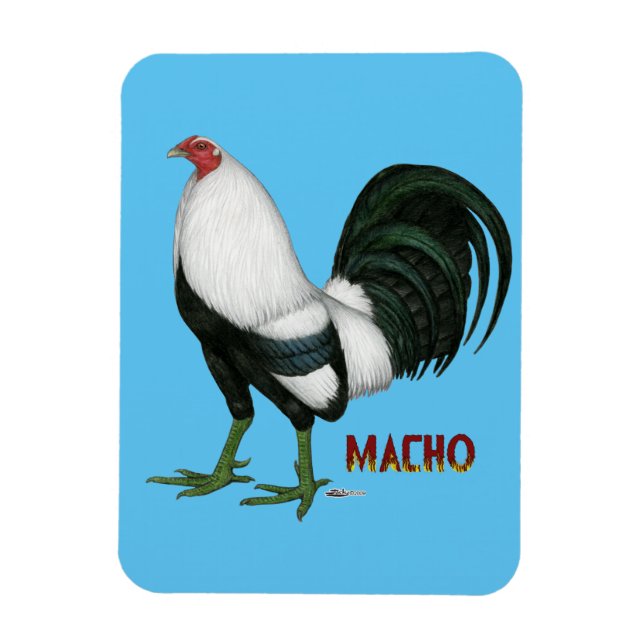 Ímã Gamecock Macho Duckwing (Vertical)