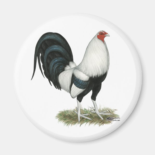 Imã Gamecock prateado (Frente)