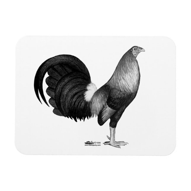 Ímã Gamecock Red Hatch (Horizontal)