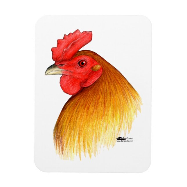 Ímã Gamecock Stag Pea Comb (Vertical)