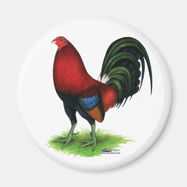 Imã Gamecock: Vermelho escuro (Frente)