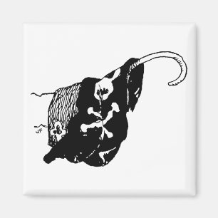 Imã Gancho do pirata