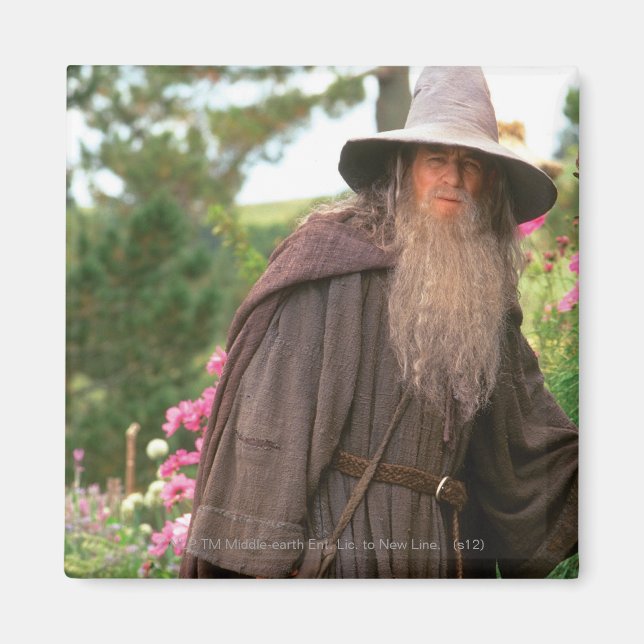 Imã GANDALF™ com chapéu (Frente)
