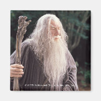 GANDALF™ em pé