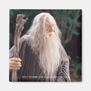Imã GANDALF™ em pé