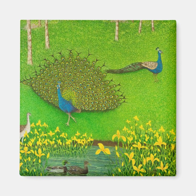 Imã Ganhando vitórias 2012 (Frente)