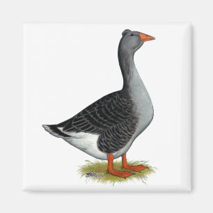 Imã Ganso de Toulouse adornado