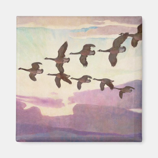 Imã Gansos do Canadá em Primavera por Newell Convers W (Frente)