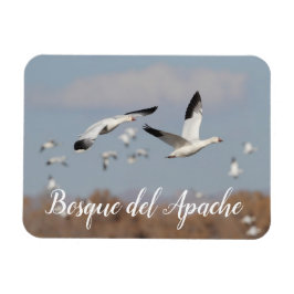 Ímã Gansos no Céu Bosque del Apache