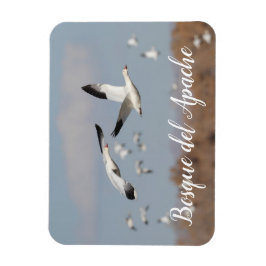 Ímã Gansos no Céu Bosque del Apache