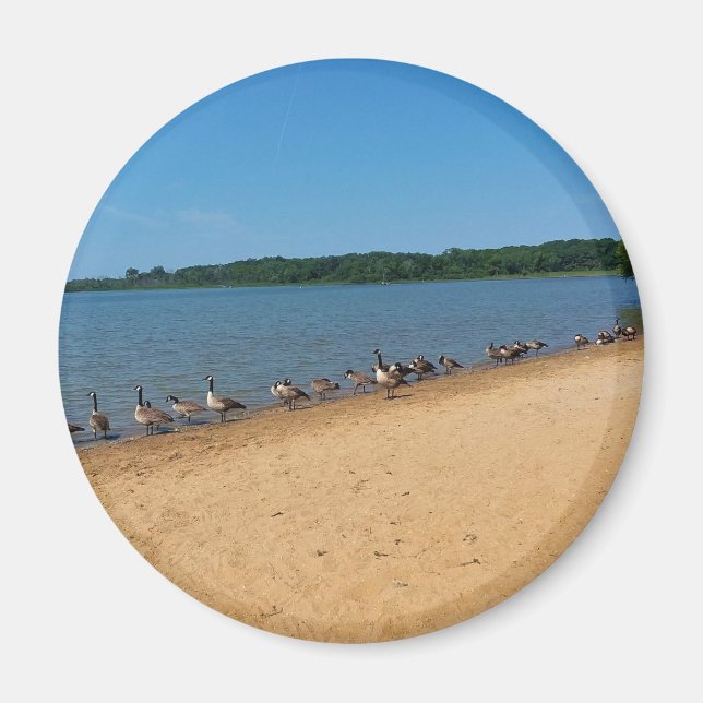 Imã Gansos no Silver Lake, Wisconsin (Frente)