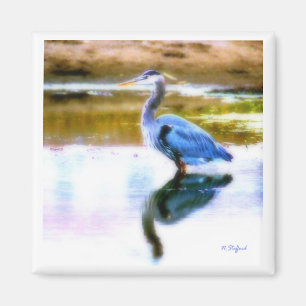 Imã Garça-real azul