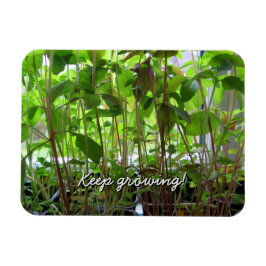 Ímã Garden Lover Mantém Plantas Cultivadas