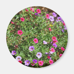 Imã Garden Petunia Magnet