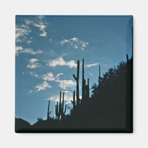 Imã Garganta de Sabino, arizona