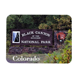 Ímã Garganta preta do parque Colorado de Gunnison