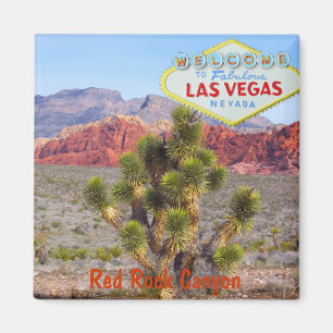 Imã Garganta vermelha da rocha perto da tira de Las