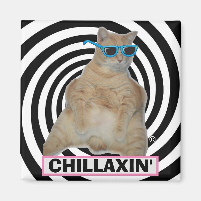IMÃ GATÃO MANX GORDO DE ÓCULOS DE SOL "CHILLAXIN" (Frente)