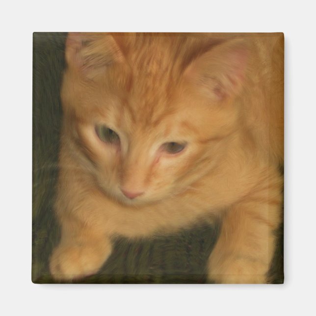 Imã Gatinho (Frente)