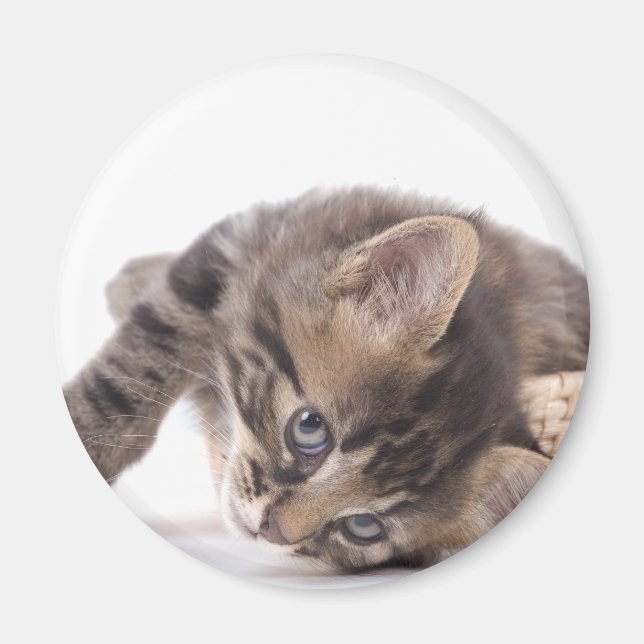 Imã gatinho (Frente)
