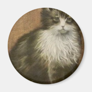 Imã Gatinho