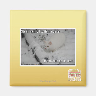 Imã Gatinho 1 do discrição