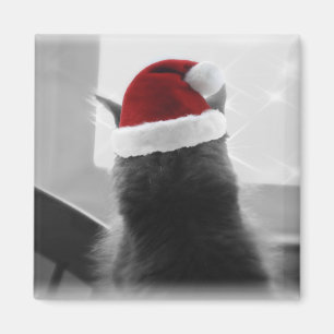 Imã Gatinho adorável do Natal