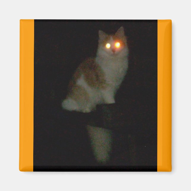 Imã gatinho assustador (Frente)