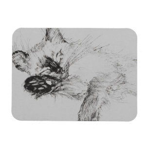 Ímã Gatinho 'Baby
