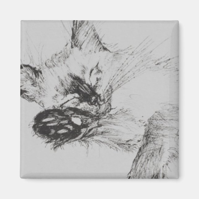 Imã Gatinho 'Bebê' (Frente)