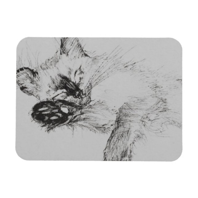 Ímã Gatinho 'Bebê' (Horizontal)