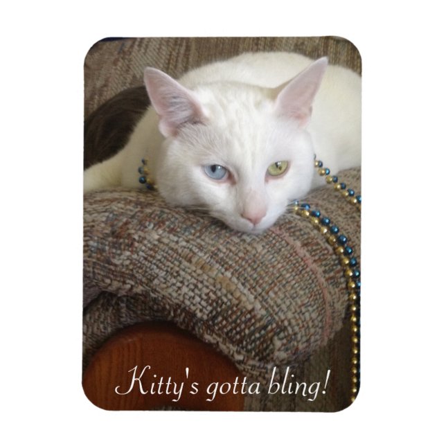 Ímã Gatinho Bling Photo Magnet (Vertical)