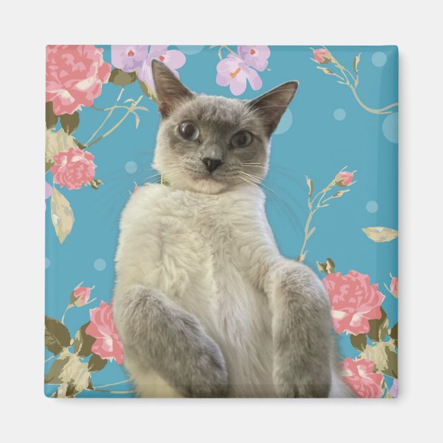 Imã Gatinho bonito (Frente)