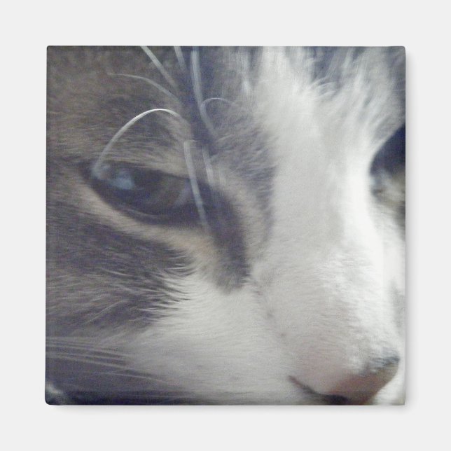 Imã Gatinho bonito (Frente)