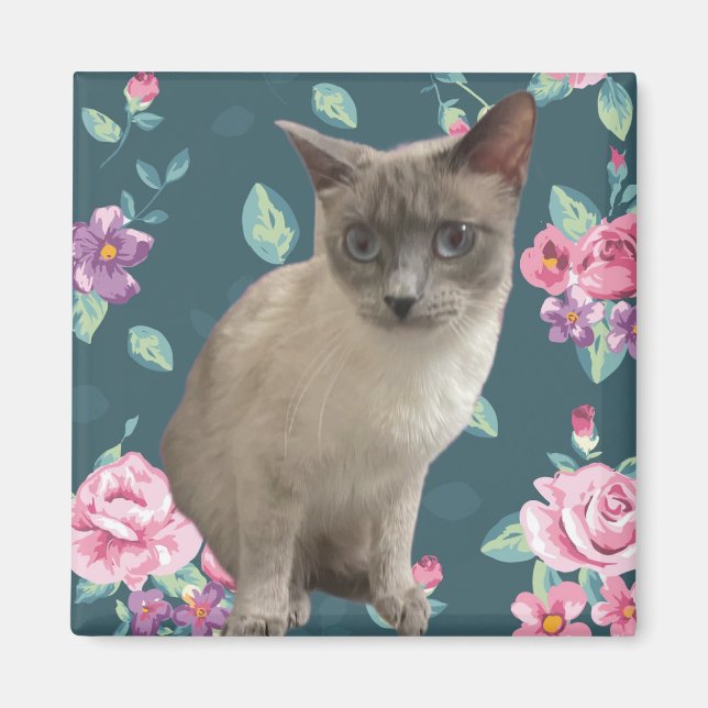 Imã Gatinho bonito (Frente)