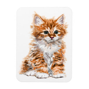 Ímã Gatinho bonito