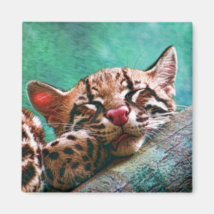 Imã Gatinho bonito do Ocelot do bebê do sono