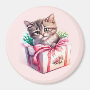 Imã Gatinho Bonito num Presente de Aniversário de Caix
