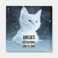 Gatinho branco e bonito com olhos azuis Bonito