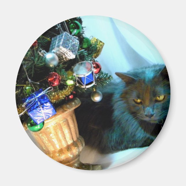 Imã Gatinho cinzento do Natal V (Frente)