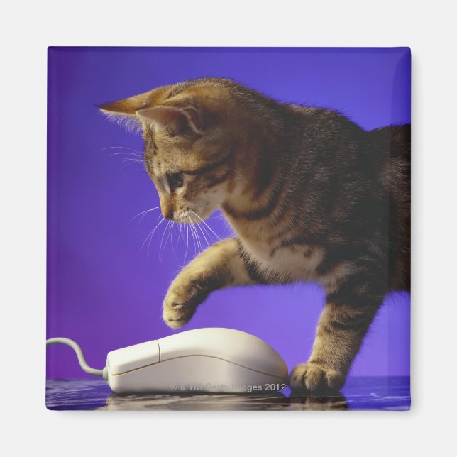 Imã Gatinho com mouse do computador (Frente)