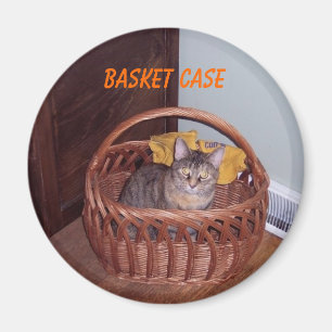 Imã Gatinho da caixa de cesta