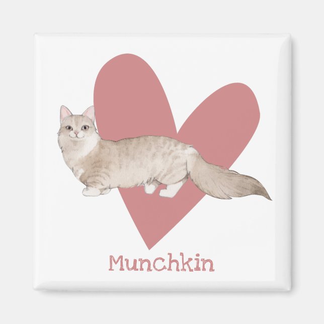 Imã Gatinho de Aquarela Munchkin, Coração Rosa (Frente)