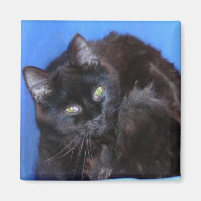 IMÃ GATINHO DE CHOCOLATE (Frente)