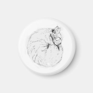 Imã Gatinho de dormir