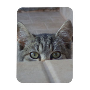 Ímã Gatinho de esconde-esconde