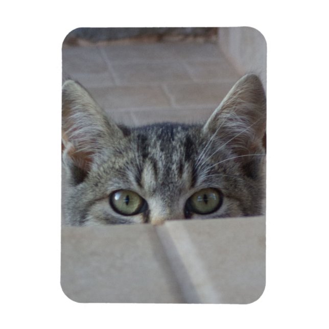Ímã Gatinho de esconde-esconde (Vertical)