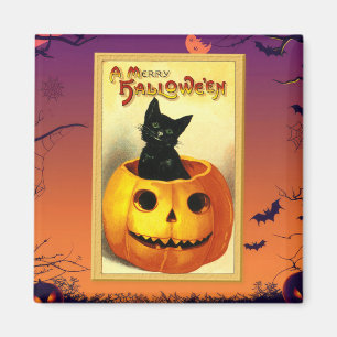 Imã Gatinho de Halloween sentado em Jack-O-Lantern Vin