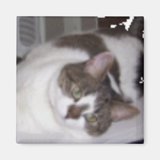 Imã Gatinho de Magnitude (Frente)