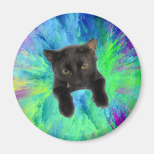 Imã Gatinho de manter os papéis no frigorífico